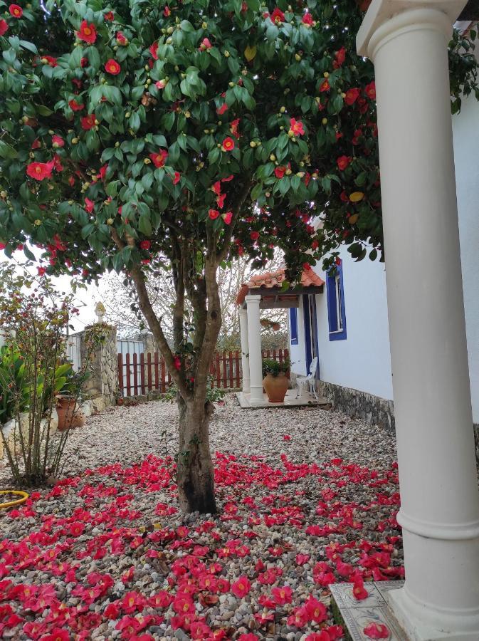 Albergue Fazenda Do Marante Tomar Exterior foto
